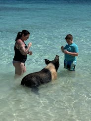 Nassau Bahamas snorkeling, swimming pigs, turtles, harbour tour!