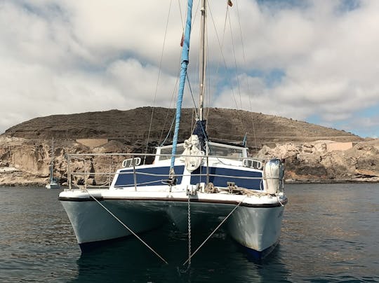 Catamarán Shiva Prout 31