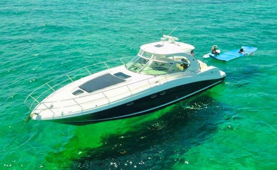 45' Sea Ray for up to 12 guest!
