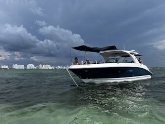 O melhor barco diurno para passeios e cruzeiros em bancos de areia