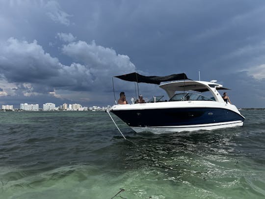 The Ultimate Day Boat for Sandbar Hopping & Cruising