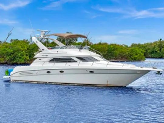 50' Flybridge Aguita ll - $100 OFF from MONDAYS-FRIDAYS!