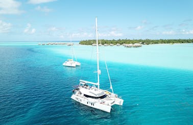 Private Luxury 50' Catamaran - Snorkelling, Sunset, Sailing, Dolphins & Whales!