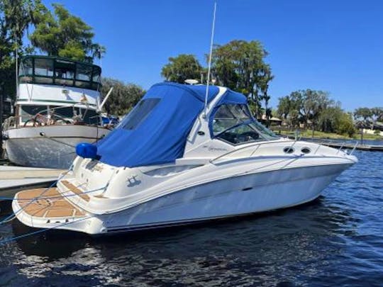 Sea Ray 320 Centrally located downtown Tampa at The Pointe Marina at Jackson’s 