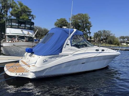 Sea Ray 320 in Downtown Tampa for up to 10 People