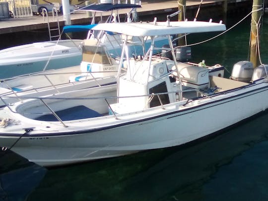 24 Boston whaler outrage