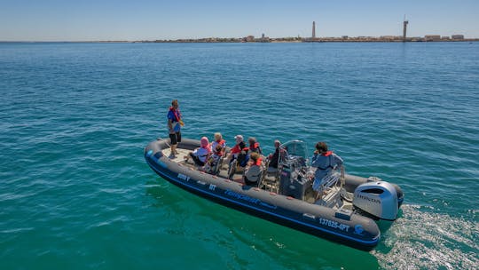 Aluguer de barcos RIB no Algarve