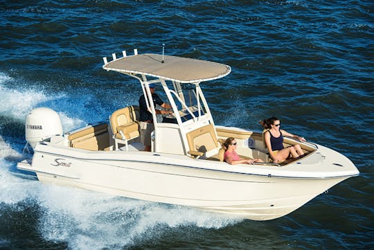 Scout 215 XSF : puissance, performances et design haut de gamme