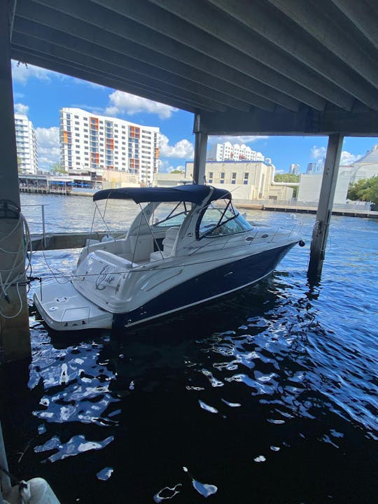 Enjoy Miami with SEA RAY 33FT!!!