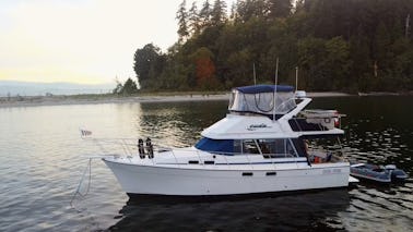 Aluguer de barco a casco de 32 pés na Sunshine Coast