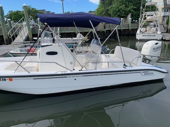 Half Day Rental | 22' Dauntless Boston Whaler in Hyannis Harbor, Massachusetts - Cape Cod