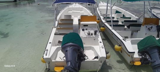 Bateau à moteur et piscine naturelle de l'île de Saona