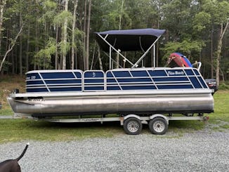 ENJOY A DAY IN THE SUN IN OUR SPACIOUS 23 FT PONTOON! WE DOCK AND TRANSPORT FREE