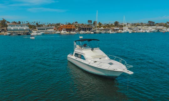 Beautiful & Spacious 42' Yacht in Marina Del Rey