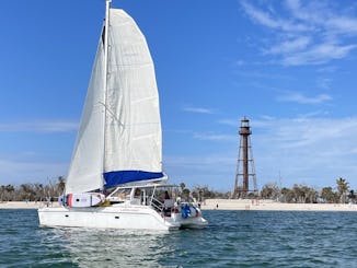 Key Largo Sailing with Dolphins on 35ft Legacy Catamaran