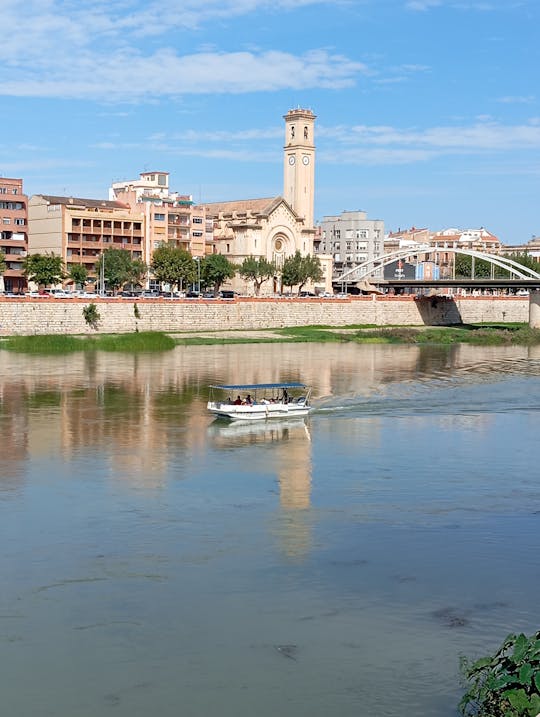 CÓMODO BARCO DE 12 PASAJEROS PARA NAVEGAR POR EL RÍO EBRO DESDE TORTOSA 