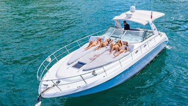 Sea Ray 400 Sundancer de 42 pies. Buceo privado en Balandra Beach (con leones marinos)