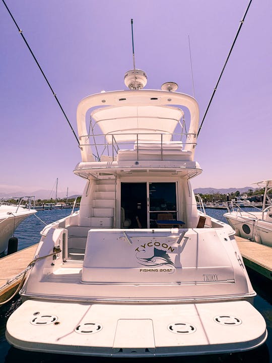 Luxury Sea Ray 48ft Yacht & Sportfishing