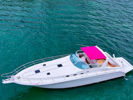 Comfortable and Spacious 50ft Sea Ray Yacht in Miami!