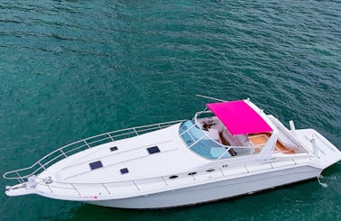 Comfortable and Spacious 50ft Sea Ray Yacht in Miami!