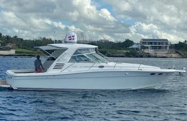 Visit Saona Island in our 37ft Sea Ray