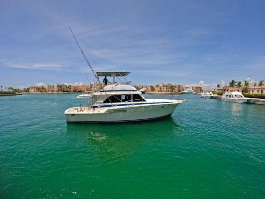 🎣 Hora de pescar 🎣!! Cabo Cana  