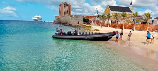 Visit multiple beaches, swim with turtles, enjoy Curacao's beautiful coastline.