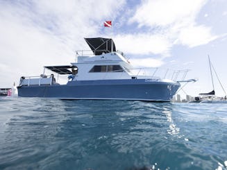Private Snorkel tours, Day charters, Sunsets, Cocktail cruise