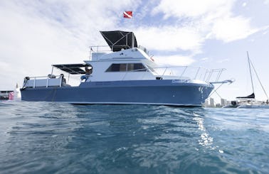 Private Snorkel tours, Day charters, Sunsets, Cocktail cruise. 