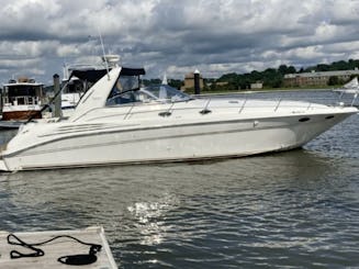 Profitez de notre service de classe mondiale à bord du Sea Ray 400 Sundancer