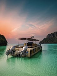 Exclusivo catamarán híbrido y lancha rápida disponible para tours privados al atardecer en Krabi