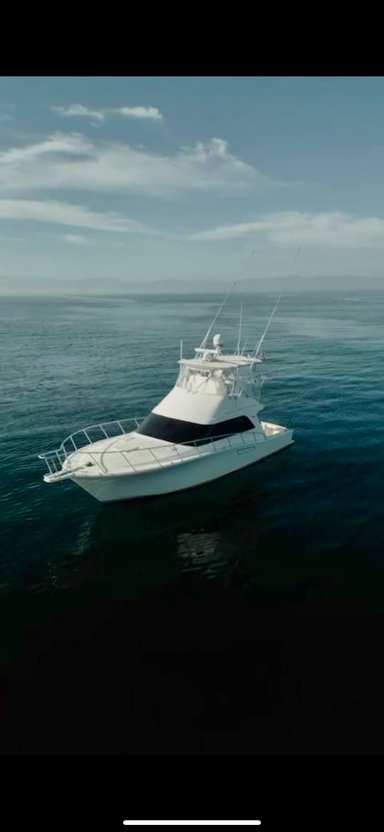 Cruise and or Fish in Style with the 43ft Cabo Flybridge Sportfishing Yacht