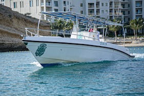 Exclusive boating experience Dolphin watching, fishing, snorkeling enhancement