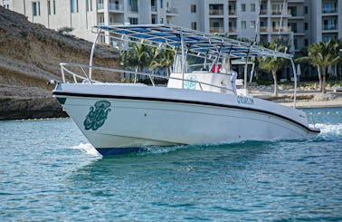 Exclusive boating experience Dolphin watching, fishing, snorkeling enhancement