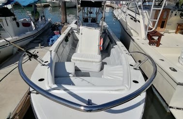17ft Aquasport Boat for fun tours on Banderas Bay Puerto Vallarta