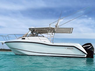 Experimente a pesca de classe mundial em El Cielo Cozumel com o Boston Whaler 27