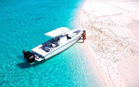 EXCURSIONES DE MEDIO DÍA - Natación privada con cerdos en Exuma