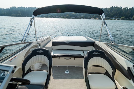  215LR Stingray ~ Baño, tubo interior en el lago Washington