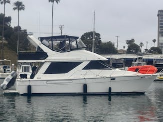 Private Yacht Experiences from Beautiful Oceanside Harbor with 39ft Bayliner 