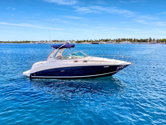 Set sail with our luxurious Sea Ray 300 Yacht!!