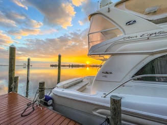 Charter privado de luxo de 48 pés SeaRay Sedan Bridge (Mila Yenin) em Pensacola, Flórida