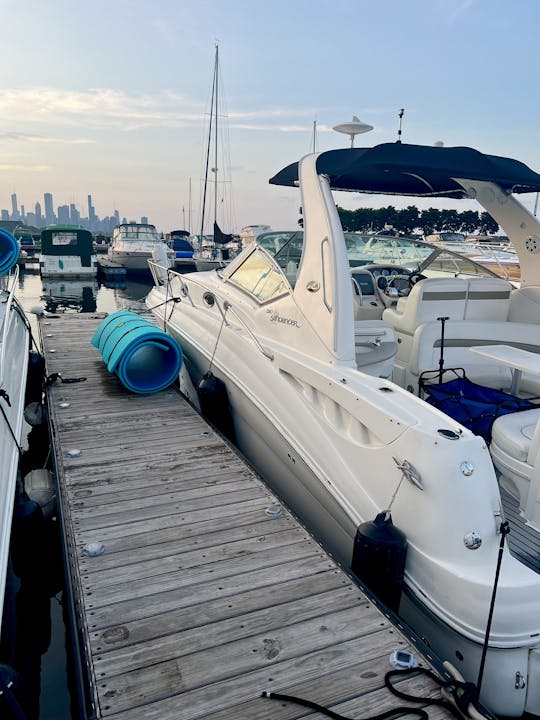 Yacht SeaRay 320 Sundancer - Parc pour enfants de la 31e rue Harbor Beach à Chicago