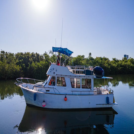 Location de yacht Classic 38 Coyote et de pêche sportive !