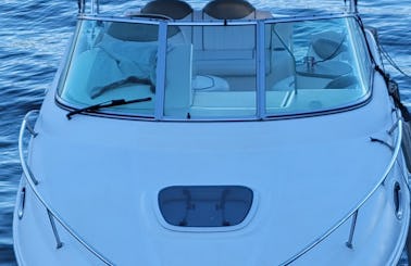 SeaRay 240 is back!  Enjoy waves, water or wine out on Lake Washington