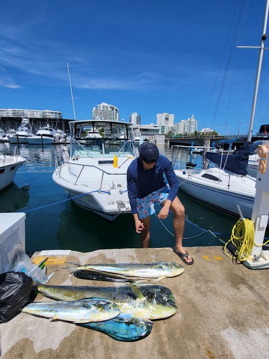 Experiência de pesca | Charter 4-HR | Viagem de pesca