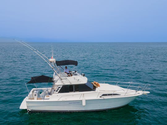 Yacht SeaRay classique de 40 pieds. Idéal pour la croisière et la pêche sportive