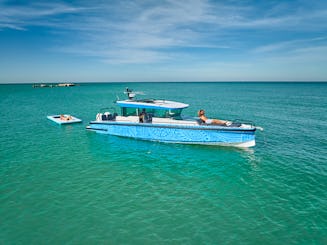 Barco a motor de lujo, con capacidad para grupos grandes, recorrido con delfines.