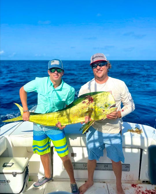 Viagem de pesca de dia inteiro em St. John, Ilhas Virgens dos EUA