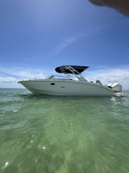 Enjoy a day in Miami aboard our Sea Ray 29ft