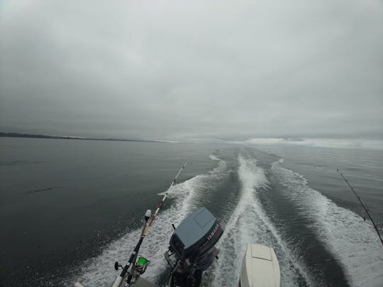 Bateau de pêche Valco Bayrunner de 19 pieds